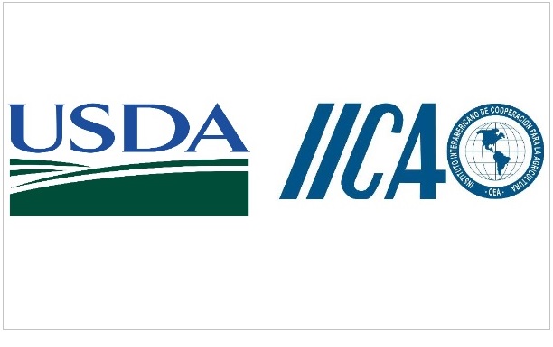 Desafíos y oportunidades de la cadena de yuca 604x361